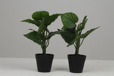 Set of 2 Black Planter with Artificial Green Plant 3.5