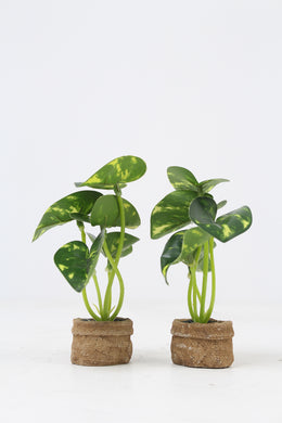 Set of 2 Brown Jute Small Planter with Artificial Green Plant 2
