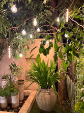 Load image into Gallery viewer, Garden Location For Bridal Shoot