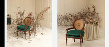 Load image into Gallery viewer, Customize Theme 021
