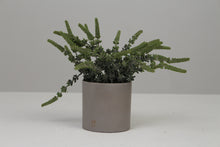 Load image into Gallery viewer, Grey Planter with Artificial Plant 4&quot; x 4&quot; - GS Productions
