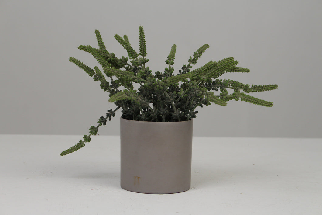 Grey Planter with Artificial Plant 4