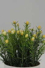 Load image into Gallery viewer, White Planter with Artificial Green &amp; Yellow Plant 2.5&quot; x 2.5&quot; - GS Productions

