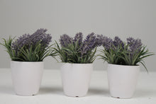 Load image into Gallery viewer, White Planters with Artificial Green &amp; Purple Plant 2.5&quot; x 2.5&quot; - GS Productions
