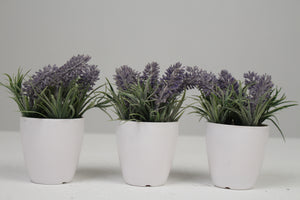 White Planters with Artificial Green & Purple Plant 2.5" x 2.5" - GS Productions