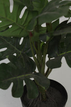 Load image into Gallery viewer, Black Planter with Artificial Green Plant 3.5&quot; x 3.5&quot; - GS Productions
