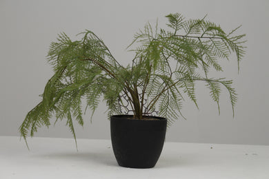 Black Planter with Artificial Green Plant (ferns) 6