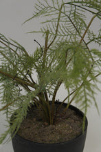 Load image into Gallery viewer, Black Planter with Artificial Green Plant (ferns) 6&quot; x 6&quot; - GS Productions
