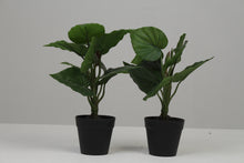 Load image into Gallery viewer, Set of 2 Black Planter with Artificial Green Plant 3.5&quot; x 3.5&quot; - GS Productions
