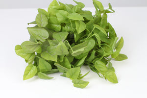 Green Money Plant Artificial Leaves Vine 12" x12" - GS Productions