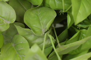 Green Money Plant Artificial Leaves Vine 12" x12" - GS Productions