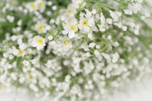 Load image into Gallery viewer, White &amp; Green Artificial Small Flower Bunch 18&quot; x 12&quot; - GS Productions
