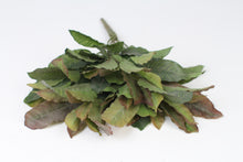 Load image into Gallery viewer, Green &amp; Brown Autumn Leaves Bunch 15&quot; x 11&quot; - GS Productions
