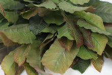 Load image into Gallery viewer, Green &amp; Brown Autumn Leaves Bunch 15&quot; x 11&quot; - GS Productions

