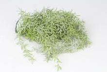 Load image into Gallery viewer, Light Green Artificial Fern - GS Productions
