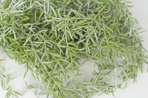 Light Green Artificial Fern - GS Productions