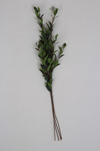 Load image into Gallery viewer, Green Bunch of Artificial Leaf Branches 8&quot; x 28&quot; - GS Productions
