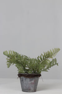 Old Rusted Grungy Silver Planter with Green Artificial Fern/ Plant 5" x 8" - GS Productions