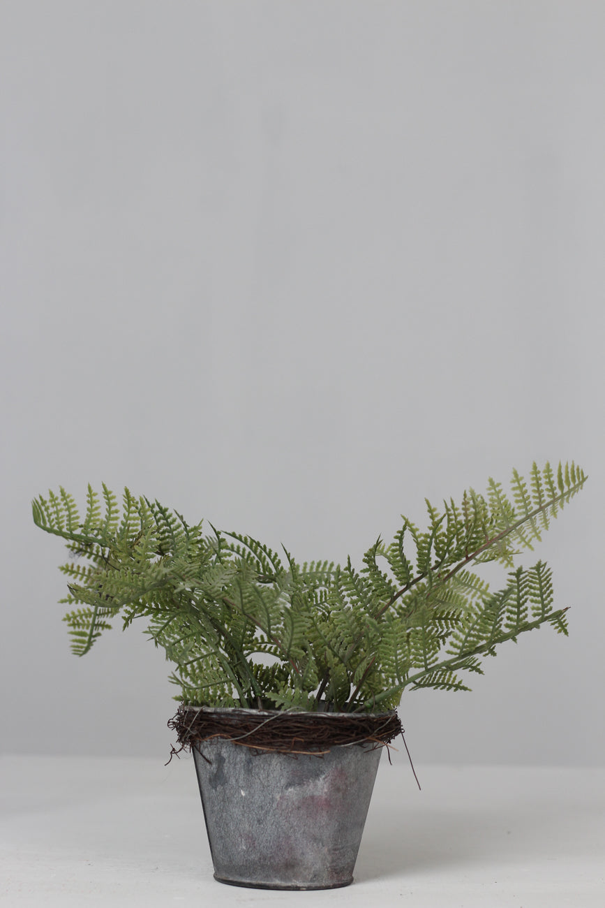 Old Rusted Grungy Silver Planter with Green Artificial Fern/ Plant 5