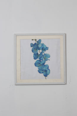 White Decoration Frame - GS Productions