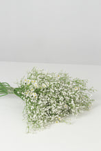 Load image into Gallery viewer, White Artificial Decorative Plants - GS Productions
