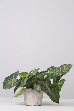 White Artificial Decorative Plants - GS Productions