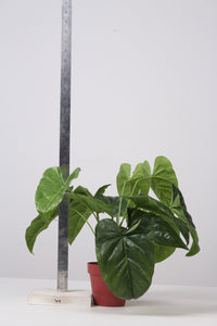 Red Artificial Decorative Plants - GS Productions