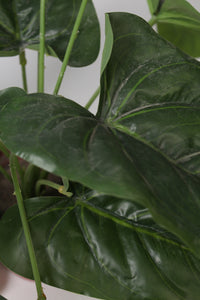 Red Artificial Decorative Plants - GS Productions