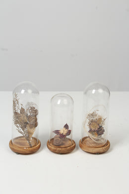 Dry Arrangement in Brown Wooden & Glass Containers - GS Productions