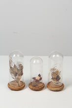 Load image into Gallery viewer, Dry Arrangement in Brown Wooden &amp; Glass Containers - GS Productions
