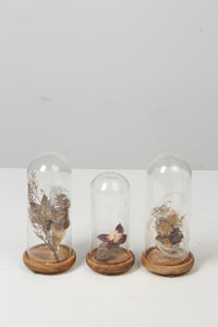 Dry Arrangement in Brown Wooden & Glass Containers - GS Productions