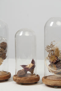 Dry Arrangement in Brown Wooden & Glass Containers - GS Productions