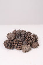 Load image into Gallery viewer, Brown Dried Pine Cones (15 Pieces) - GS Productions
