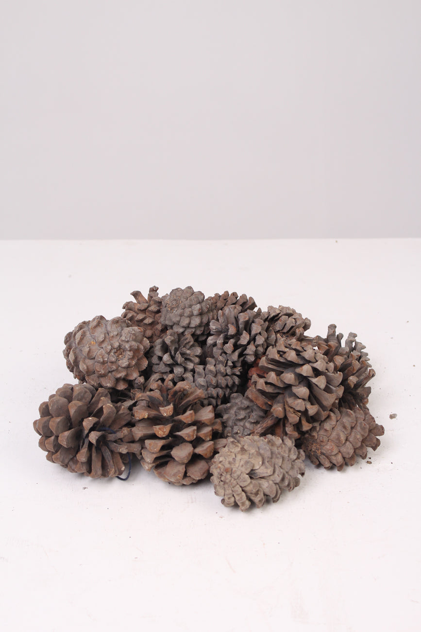 Brown Dried Pine Cones (15 Pieces) - GS Productions