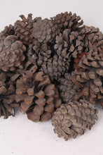 Load image into Gallery viewer, Brown Dried Pine Cones (15 Pieces) - GS Productions
