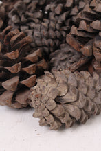 Load image into Gallery viewer, Brown Dried Pine Cones (15 Pieces) - GS Productions
