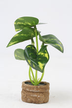 Load image into Gallery viewer, Set of 2 Brown Jute Small Planter with Artificial Green Plant 2&quot; x 6&quot; - GS Productions
