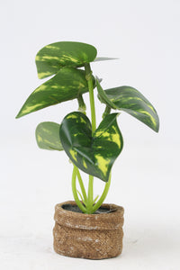 Set of 2 Brown Jute Small Planter with Artificial Green Plant 2" x 6" - GS Productions