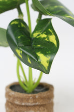 Load image into Gallery viewer, Set of 2 Brown Jute Small Planter with Artificial Green Plant 2&quot; x 6&quot; - GS Productions
