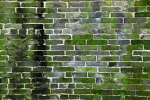 Wall # 26 Green & White - GS Productions