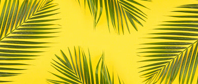 Wall # 51 Yellow & Green - GS Productions