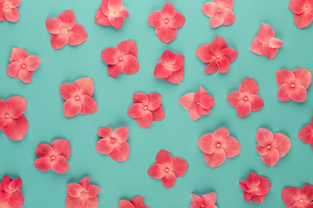 Wall # 65 Pink & Blue - GS Productions