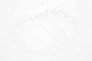 White Round Laser cut Lace Paper Napkin 10" x 10" - GS Productions